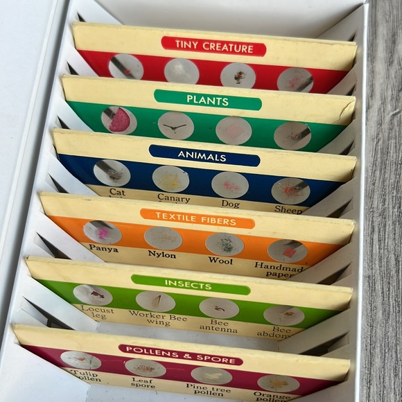 Prepared slide specimens, set 1 and set 2 Learning Resources Science - Picture 4 of 8